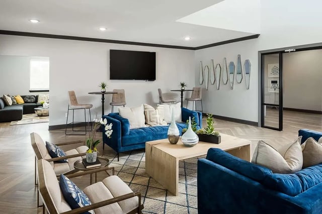 Blue sofas modern coffee table and chairs living room at Avoca in Louisville Student Accommodation
