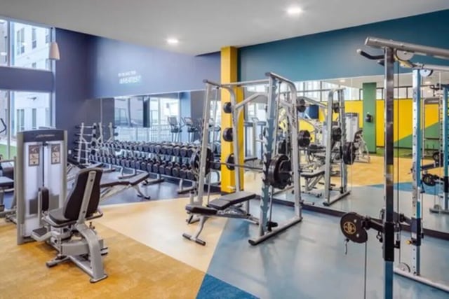 Gym equipment weights machines and benches gym at Proxi Lawrence in Lawrence Student Accommodation