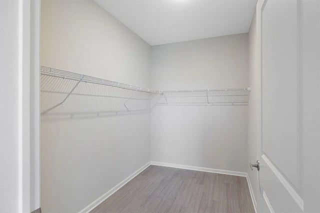 Empty walk-in closet with wire shelving closet at The Belltower in Louisville Student Accommodation