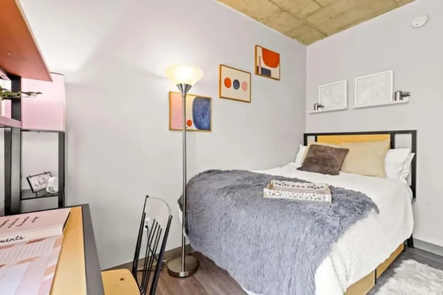 Bed floor lamp artwork shelves and desk bedroom at Auraria Student Lofts in Denver Student Accommodation