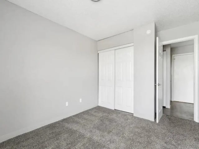 Empty room with carpet and closet bedroom at Chestnut Springs Apartments in Colorado Springs Student Accommodation