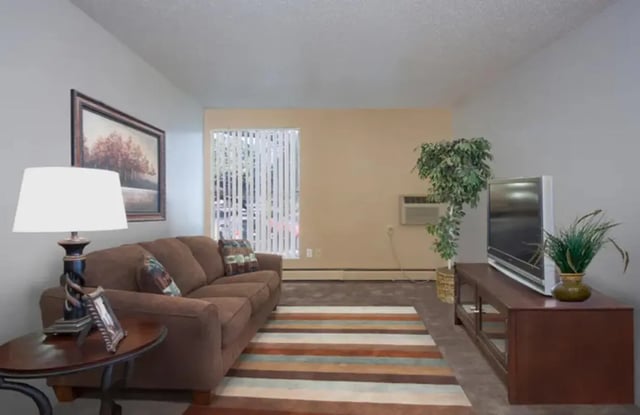 Brown sofa striped rug and television living room at Chestnut Springs Apartments in Colorado Springs Student Accommodation
