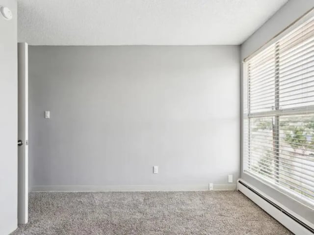 Empty room with carpet and window living room at Chestnut Springs Apartments in Colorado Springs Student Accommodation