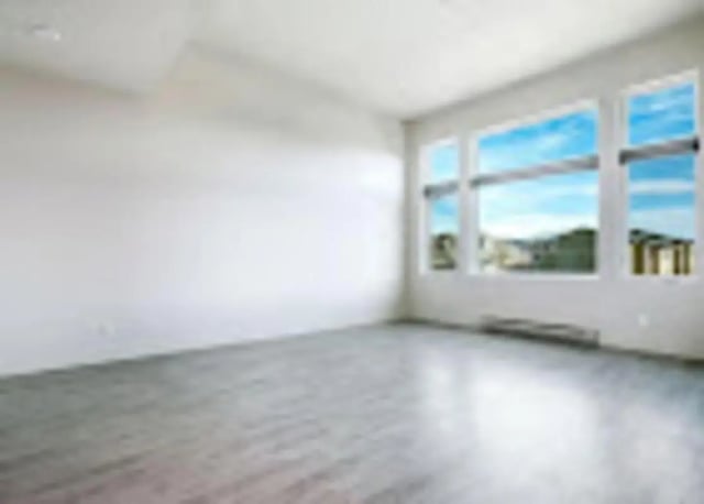 Empty room with large windows and wood floor living room at Red Table Apartments in Gypsum Student Accommodation