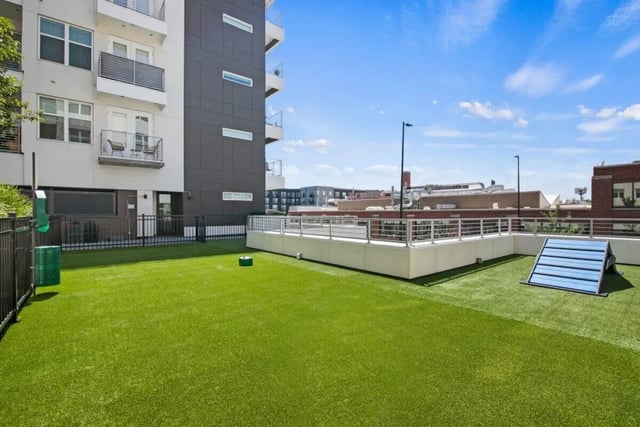 Green dog play area with agility ramp exterior at RYE SoBo in Denver Student Accommodation