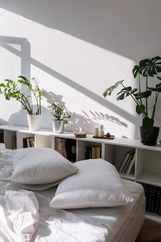 White pillows on bed shelves plants books bedroom at Vida @ Fitzsimons in Aurora Student Accommodation