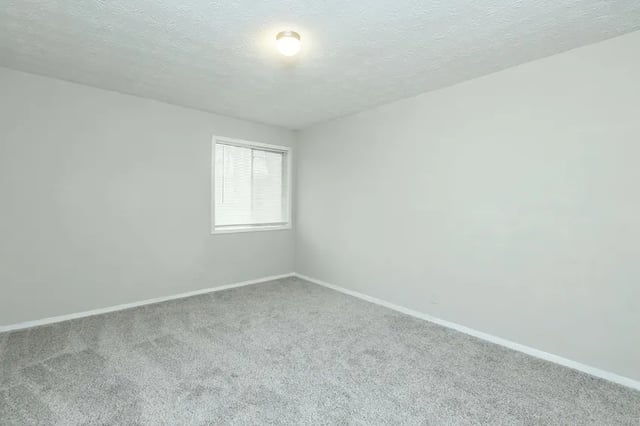 Empty room with grey carpet and window bedroom at Villas De Las Colinas 1 in Atlanta Student Accommodation