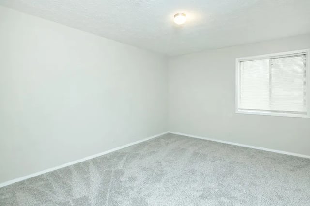 Empty room with grey carpet and window Bedroom at Villas De Las Colinas 1 in Atlanta Student Accommodation