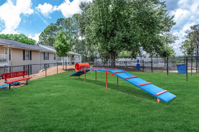 Dog agility course red bench exterior at Villas Del Mirasol in Roswell Student Accommodation