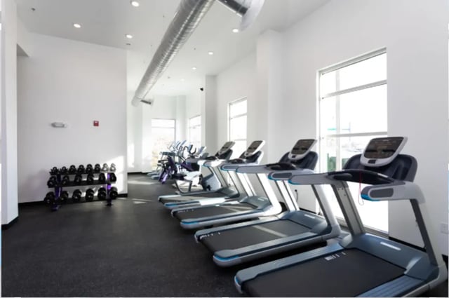 Treadmills and dumbbells in a gym gym area at Altitude Apartments Harrisonburg in Harrisonburg Student Accommodation