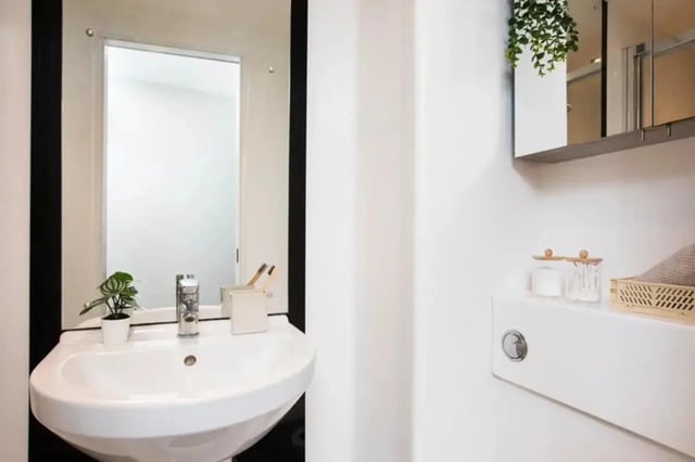 Sink plant toothbrushes mirror cabinet shelf bathroom at Stapleton House in London Student Accommodation