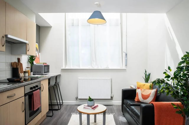 Kitchen couch plants and window living area at Quantum Court in London Student Accommodation