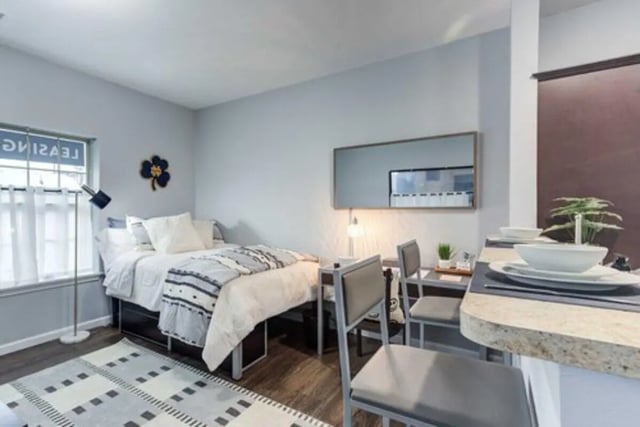 Bed desk chairs mirror and plant bedroom living room at Overlook at Notre Dame in South Bend Student Accommodation