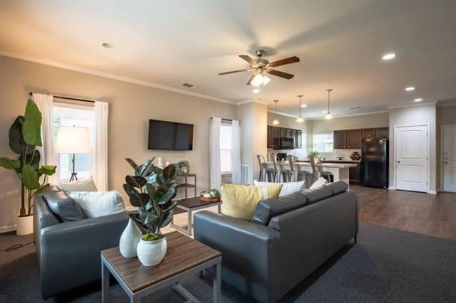 Gray sofas TV plants kitchen island living room at The Outpost Fort Collins in Fort Collins Student Accommodation