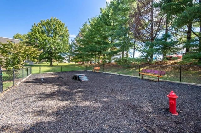 Dog park with agility equipment and benches exterior at Terrace View in Blacksburg Student Accommodation