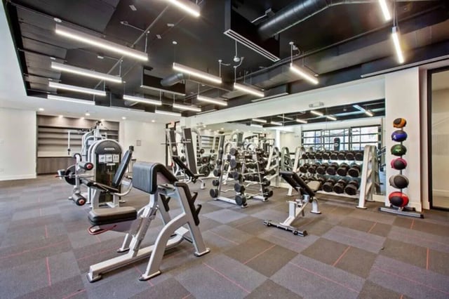 Gym equipment weights and racks gym at Nine 20 Tempe in Tempe Student Accommodation