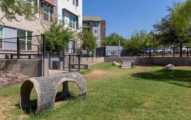 Dog park with tunnels and ramps playing area at Nine 20 Tempe in Tempe Student Accommodation