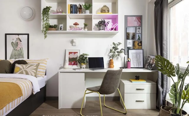 Bed desk chair shelves and plants bedroom at New Medlock House in Manchester Student Accommodation