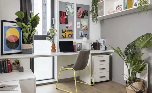 Desk plants laptop chair and bulletin board study area at Parkway Gate in Manchester Student Accommodation