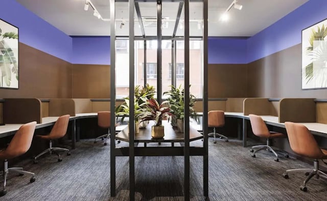 Desks with chairs and plants study area at Parkway Gate in Manchester Student Accommodation