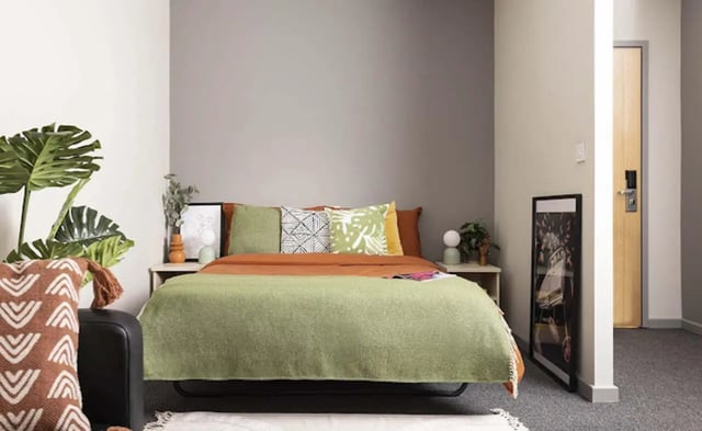 Bed pillows plant and framed picture bedroom at Piccadilly Point in Manchester Student Accommodation