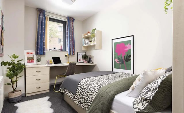 Bed desk plant and artwork bedroom at Piccadilly Point in Manchester Student Accommodation