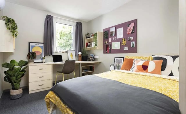Bed desk plants and bulletin board bedroom at Piccadilly Point in Manchester Student Accommodation