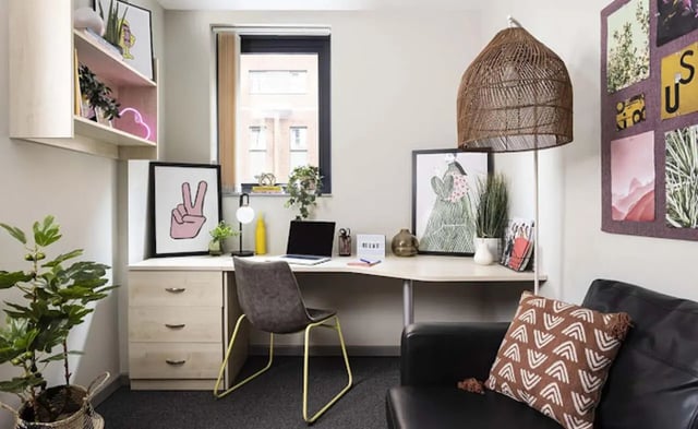 Desk chair laptop lamp shelf and plants study area at Piccadilly Point in Manchester Student Accommodation