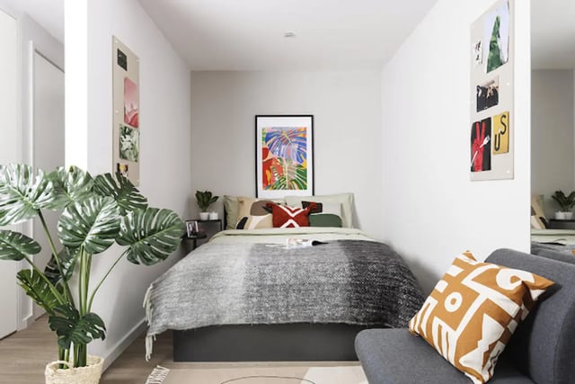 Bed with art plant and grey sofa bedroom at Kincardine Court in Manchester Student Accommodation