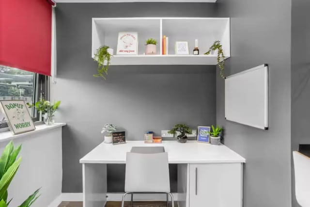 White desk plants whiteboard and shelving study area at Northgate House Apartments in Cardiff Student Accommodation