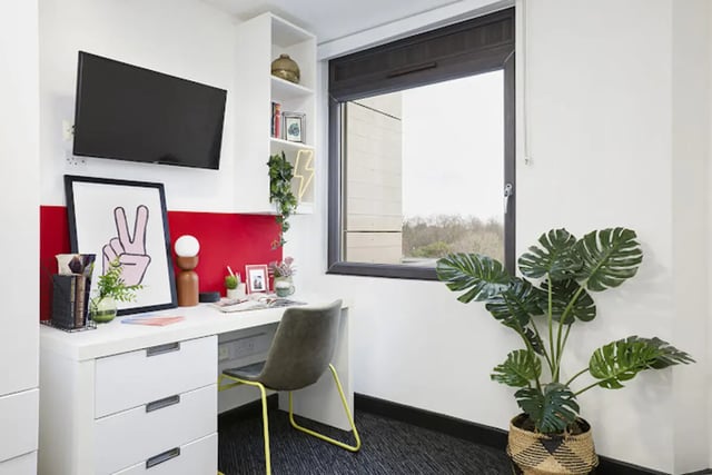 Desk TV plant and chair study area at Athena Studios in Birmingham Student Accommodation