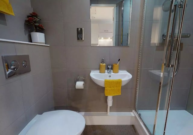 Toilet sink shower with towel and plant bathroom at iQ Elgin Place in Glasgow Student Accommodation