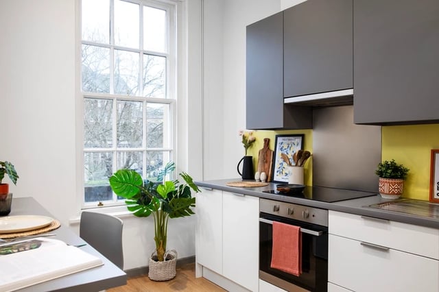Modern grey and white kitchen with plants kitchen at Brunel House in Bristol Student Accommodation