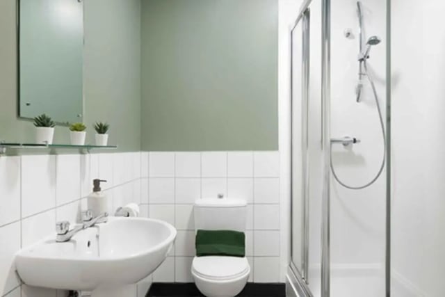 Sink toilet shower mirror plants bathroom at Culver House in Bristol Student Accommodation