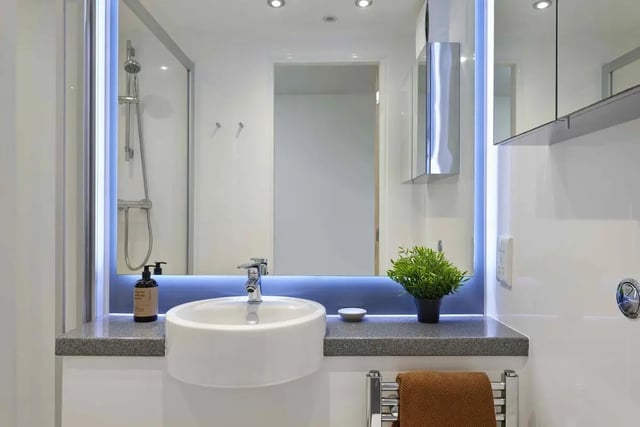 Sink shower plant and mirror bathroom at Asa Briggs House in Leeds Student Accommodation