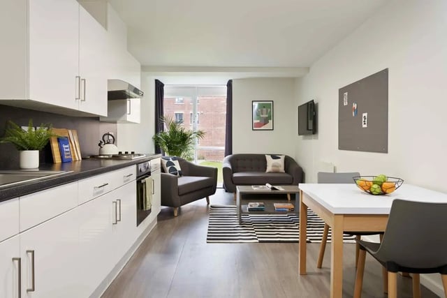 Modern studio with kitchen sofa table living area at Asa Briggs House in Leeds Student Accommodation