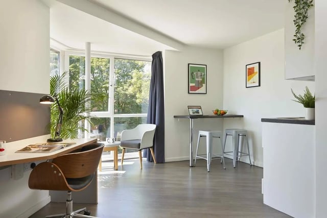 Desk chair plant table stools and kitchen area at Asa Briggs House in Leeds Student Accommodation