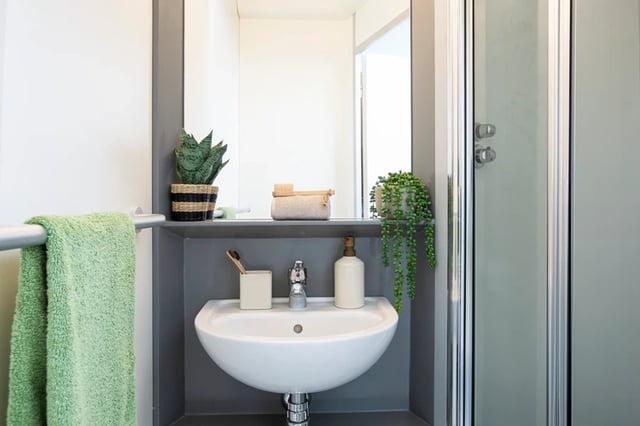 Sink plants towel and shower stall bathroom at North Lodge in London Student Accommodation
