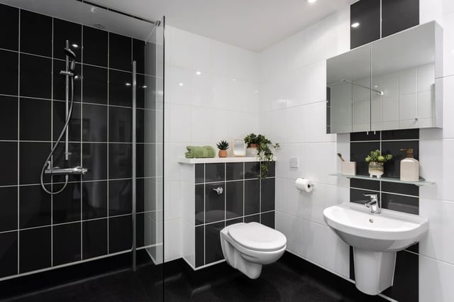 Shower toilet sink mirror plants bathroom at Newgate Court in Newcastle Upon Tyne Student Accommodation