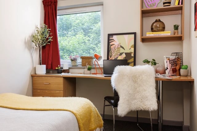 Bed desk chair plant window and bookshelf bedroom at Manor Bank in Newcastle Upon Tyne Student Accommodation
