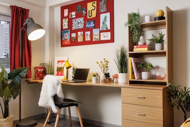 Desk with laptop, lamp, chair, and plants study area at Manor Bank in Newcastle Upon Tyne Student Accommodation