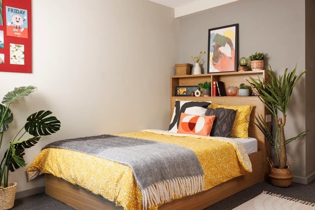 Bed with yellow bedding framed art and plants bedroom at Manor Bank in Newcastle Upon Tyne Student Accommodation