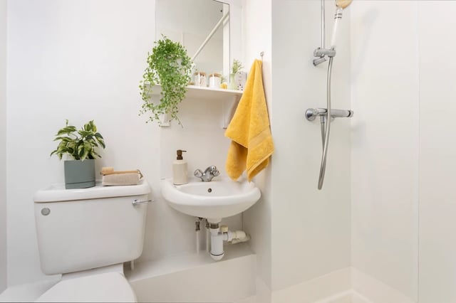 Toilet sink shower with plants and yellow towel bathroom at Magnet Court in Newcastle Upon Tyne Student Accommodation