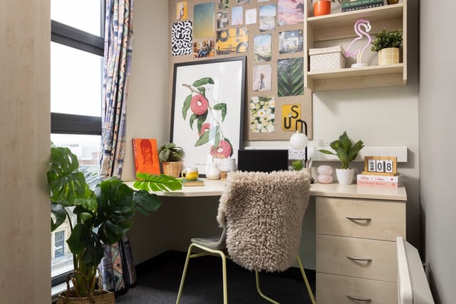 Desk plants framed art fluffy chair calendar study area at Magnet Court in Newcastle Upon Tyne Student Accommodation