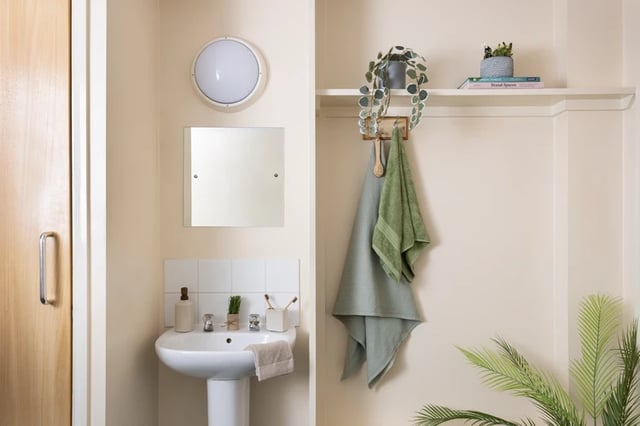 Sink mirror towels plant shelf bathroom at Leadmill Point in Sheffield Student Accommodation