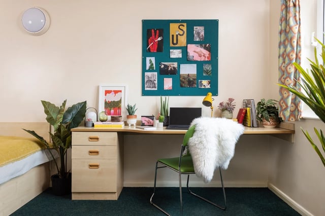 Desk with laptop plants and pinboard Study area at Leadmill Point in Sheffield Student Accommodation