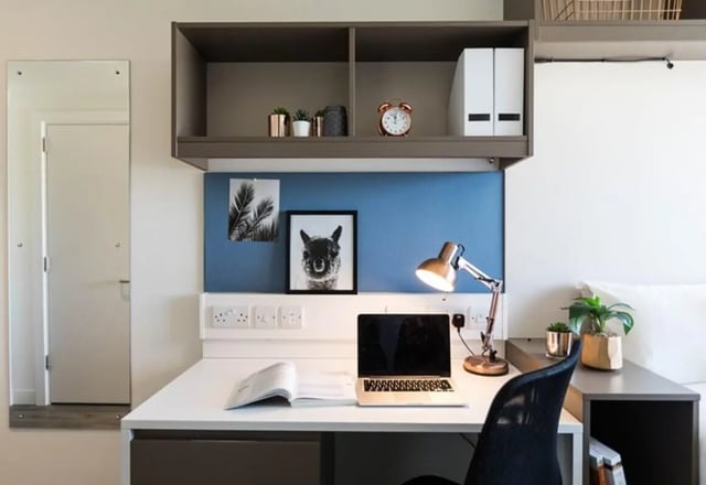 Desk with laptop lamp and llama art Study area at Aparto Arbury Court in Kingston Upon Thames Student Accommodation