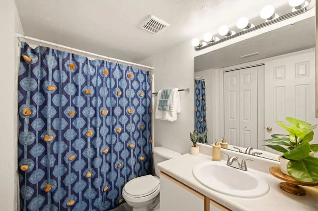 Toilet sink vanity and shower curtain bathroom at Villa Reanna in Tallahassee Student Accommodation