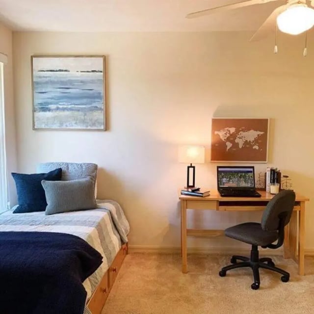 Bed desk laptop and chair bedroom study area at Windsor Hall in Gainesville Student Accommodation