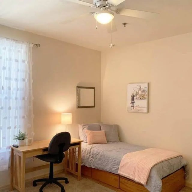 Desk, bed with drawers, ceiling fan, bedroom at Windsor Hall in Gainesville Student Accommodation